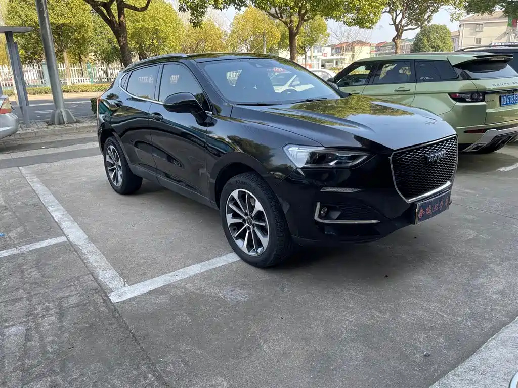 HAVAL F5 2020