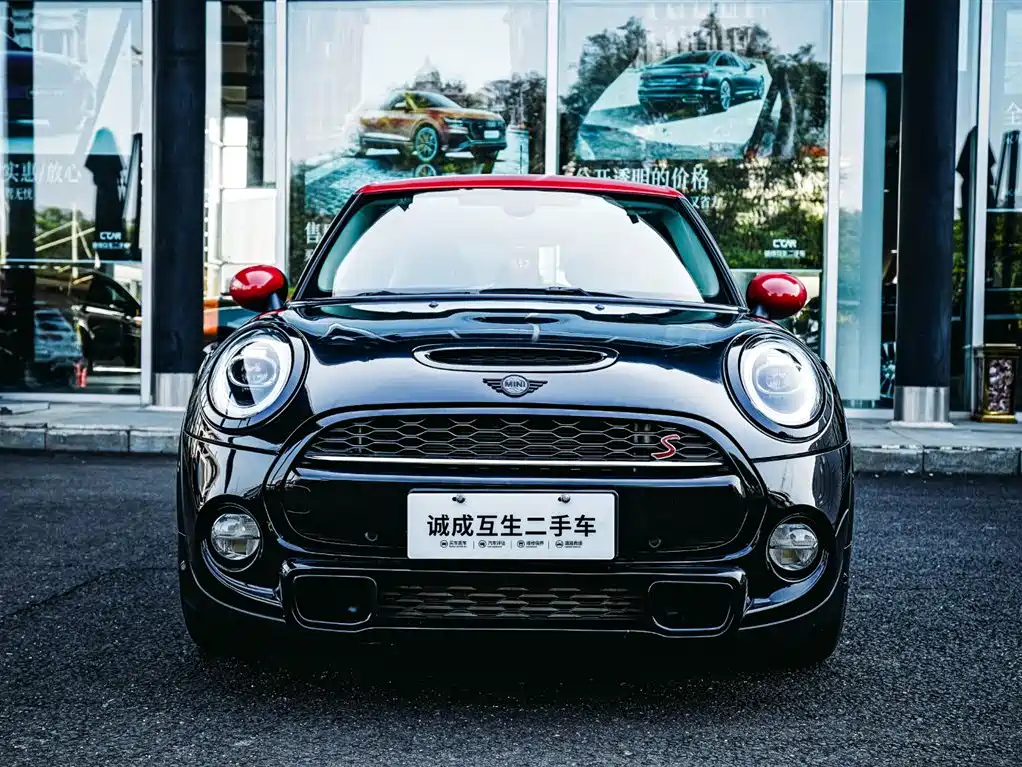 MINI OTHER 2019