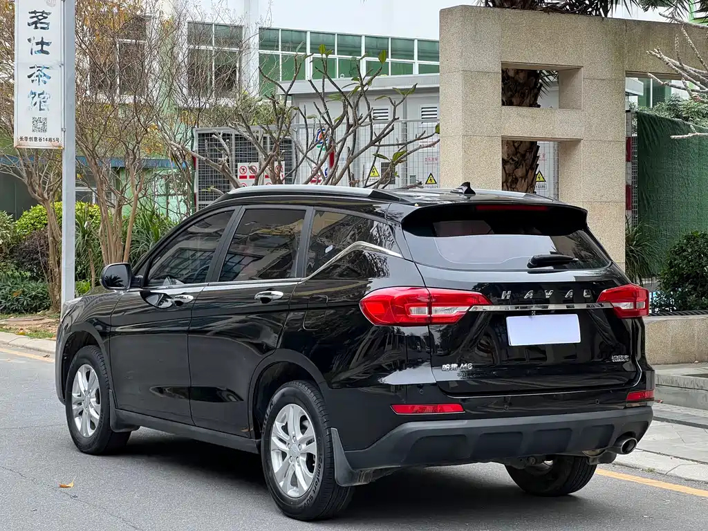HAVAL M6 2019