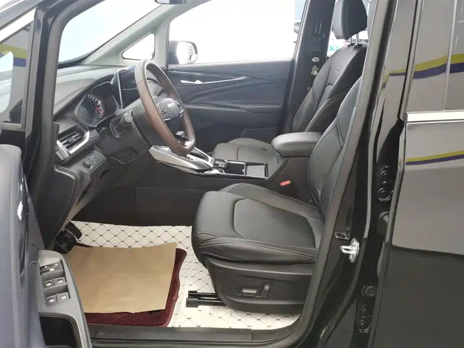 MAXUS OTHER 2020