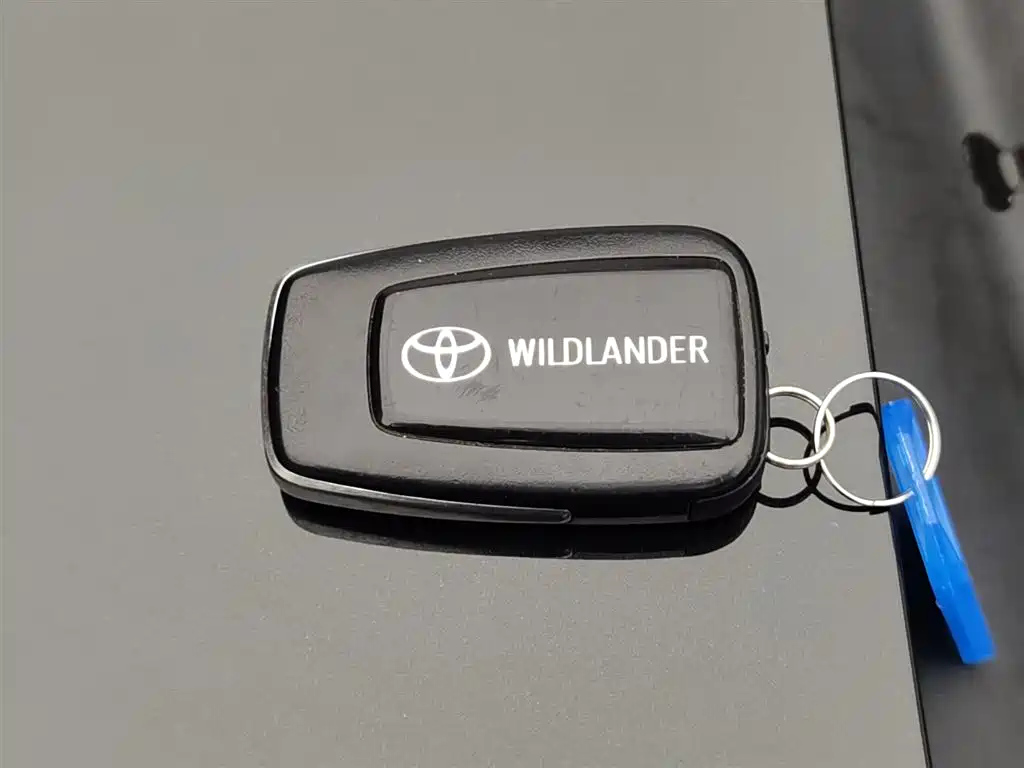 TOYOTA WILDLANDER 2022