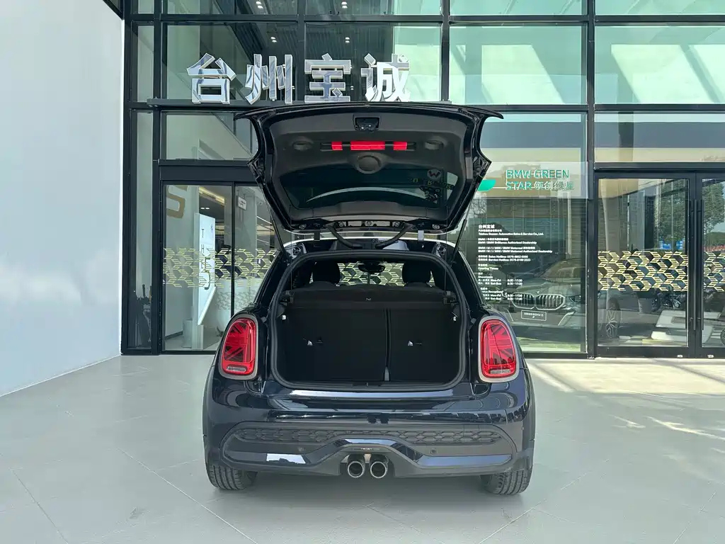 MINI OTHER 2023
