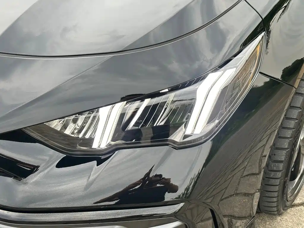 TRUMPCHI EMPOW 2023