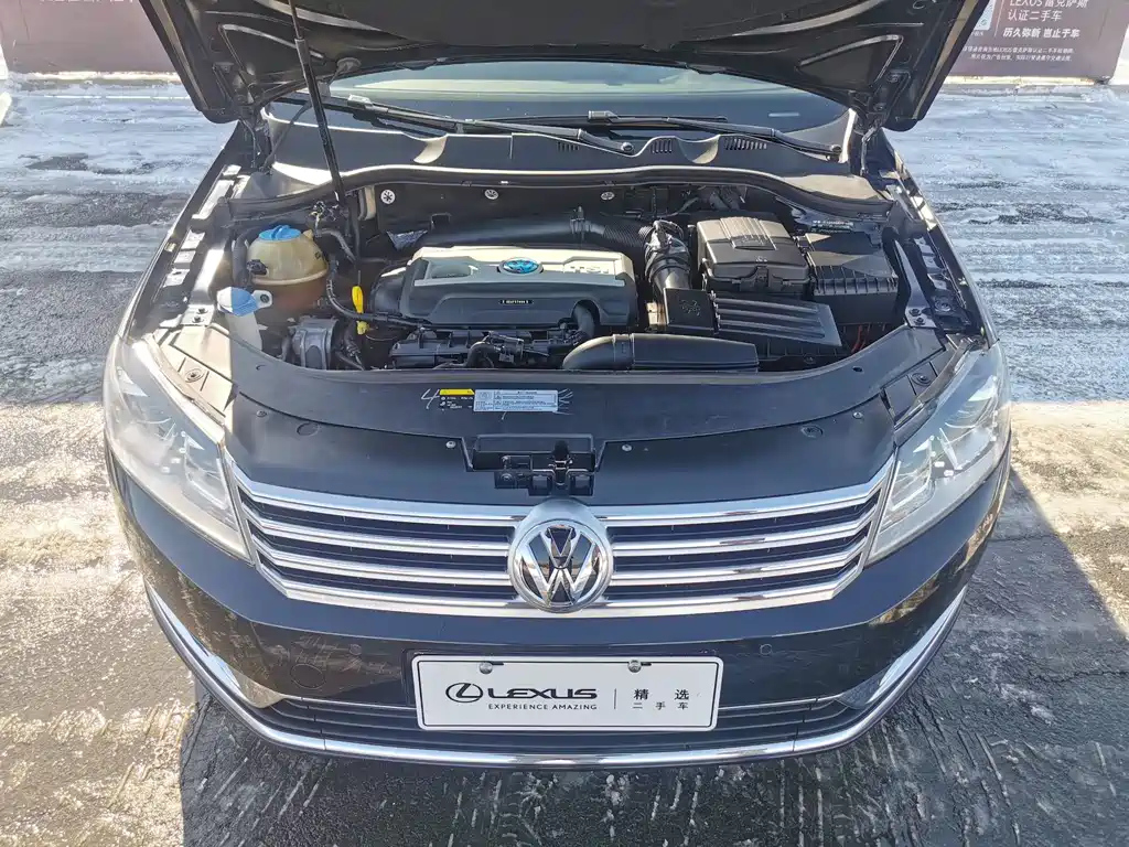 VOLKSWAGEN MAGOTAN 2016