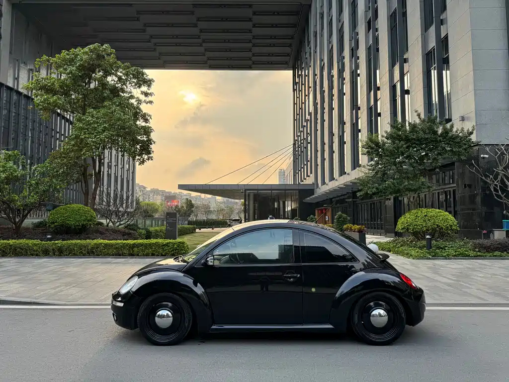 VOLKSWAGEN BEETLE 2009