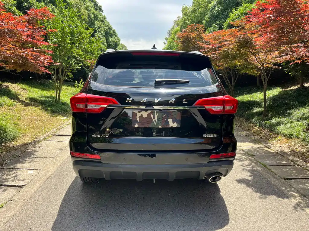 HAVAL M6 2021
