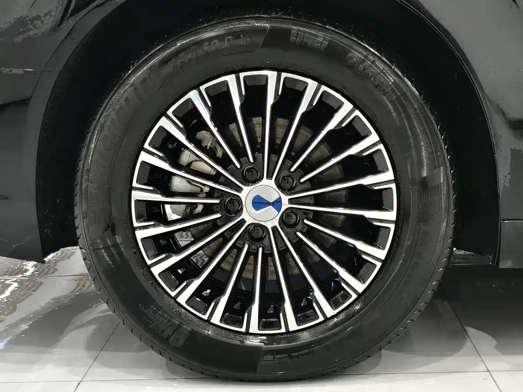 DENZA D9 2022
