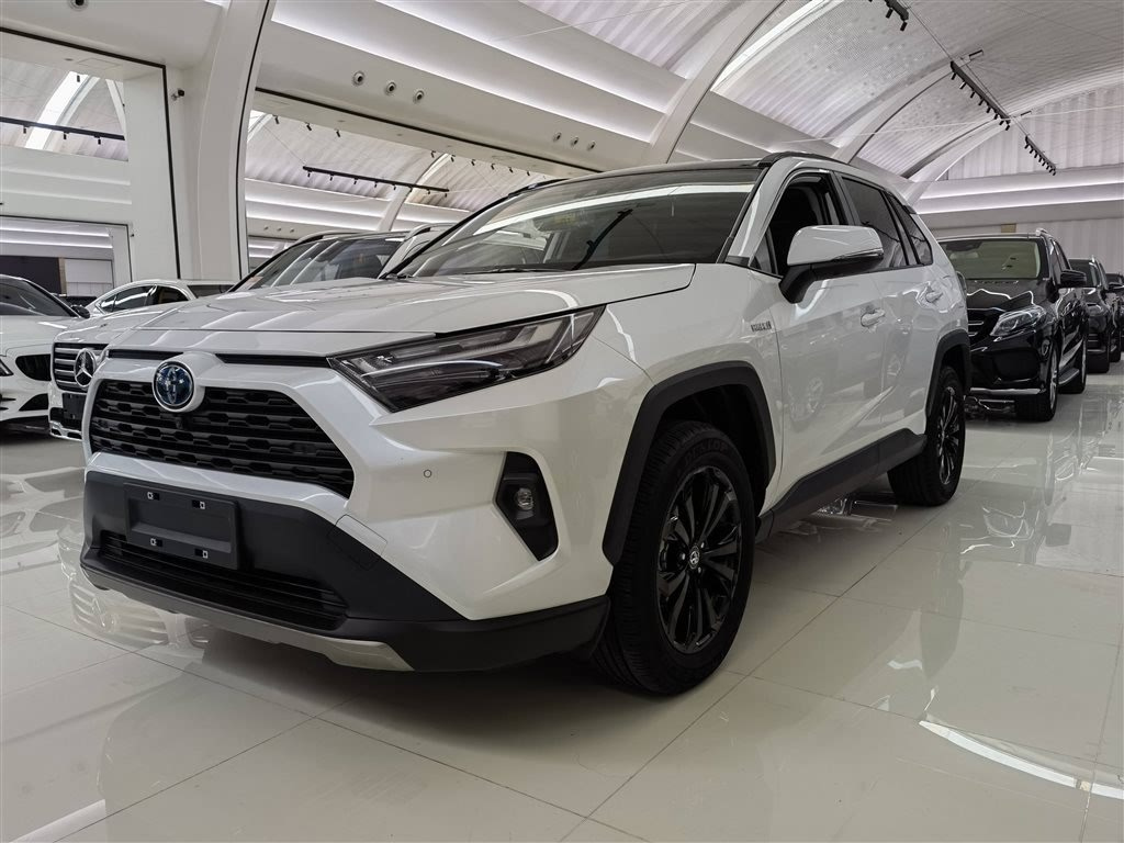 TOYOTA RAV4 RONGFANG 2023