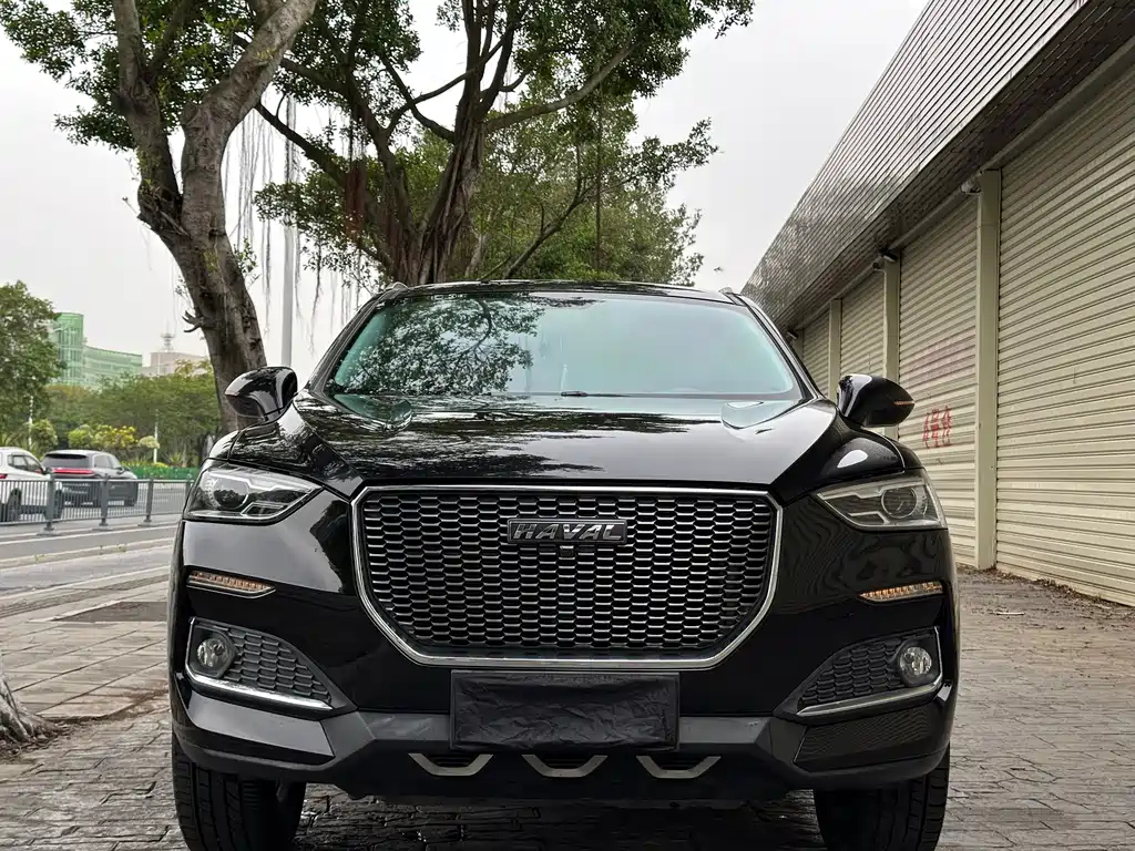 HAVAL F5 2019