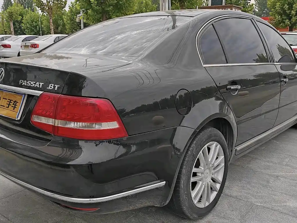 VOLKSWAGEN OTHER 2009