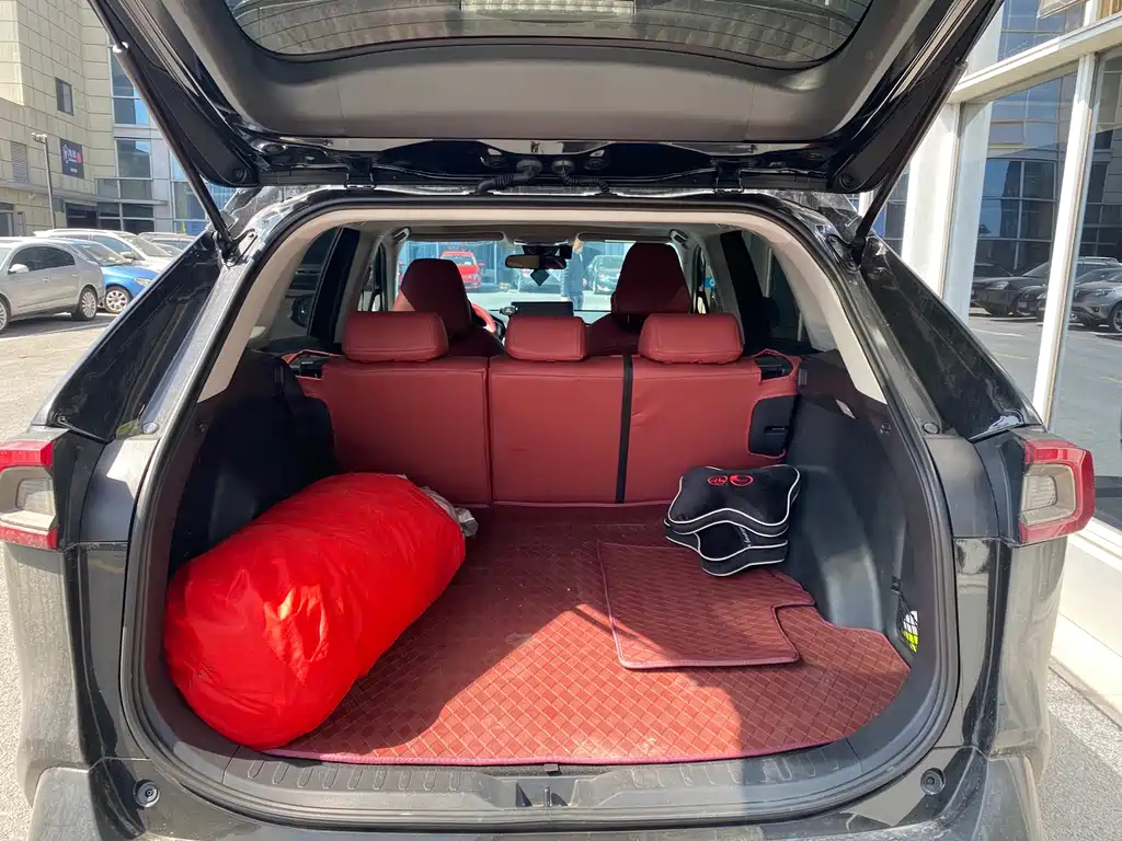 TOYOTA WILDLANDER 2022