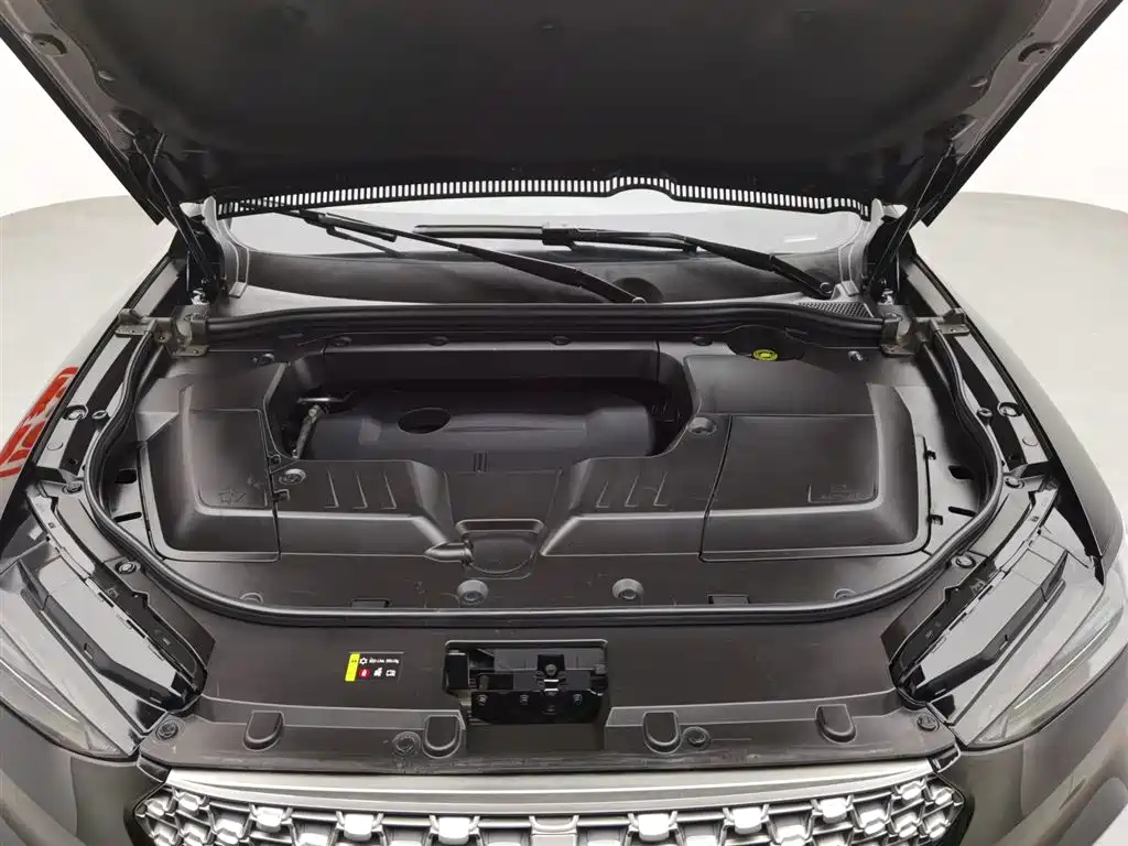 WEY VV6 2020