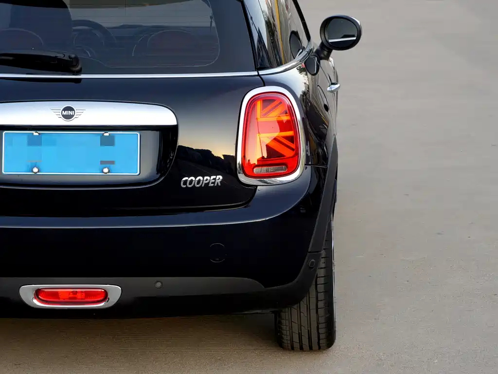 MINI OTHER 2020