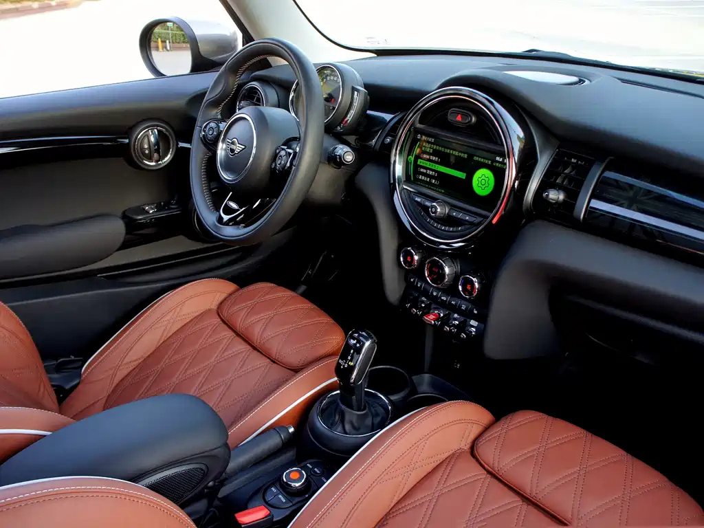 MINI OTHER 2020