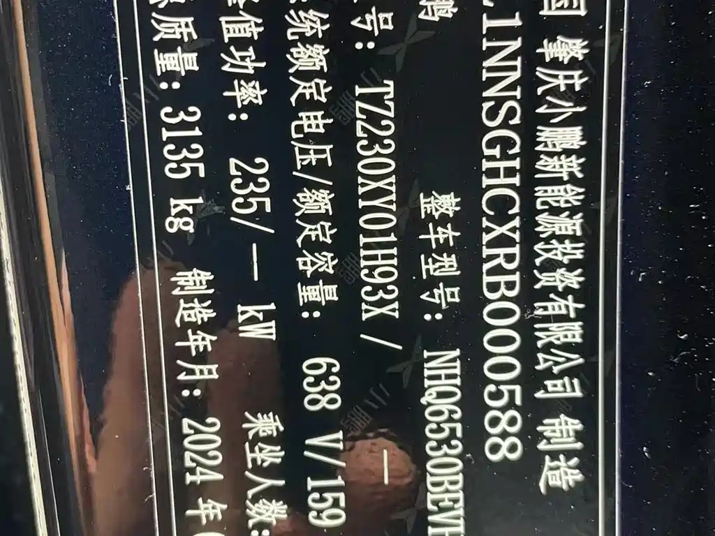 XPENG MOTORS X9 2024