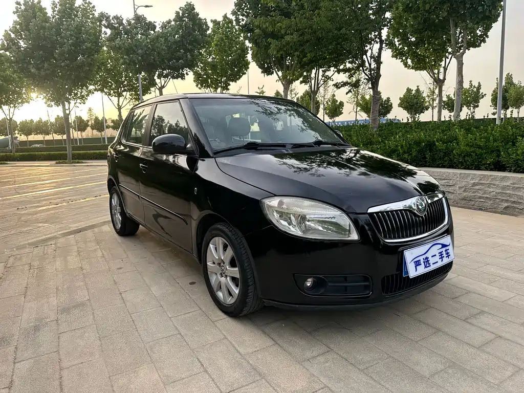 SKODA FASCIA 2009