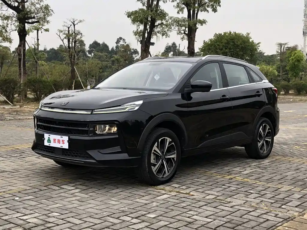 Аукционный лист SOL QX 2022