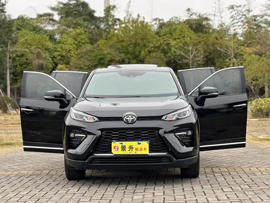TOYOTA WILDLANDER 2020