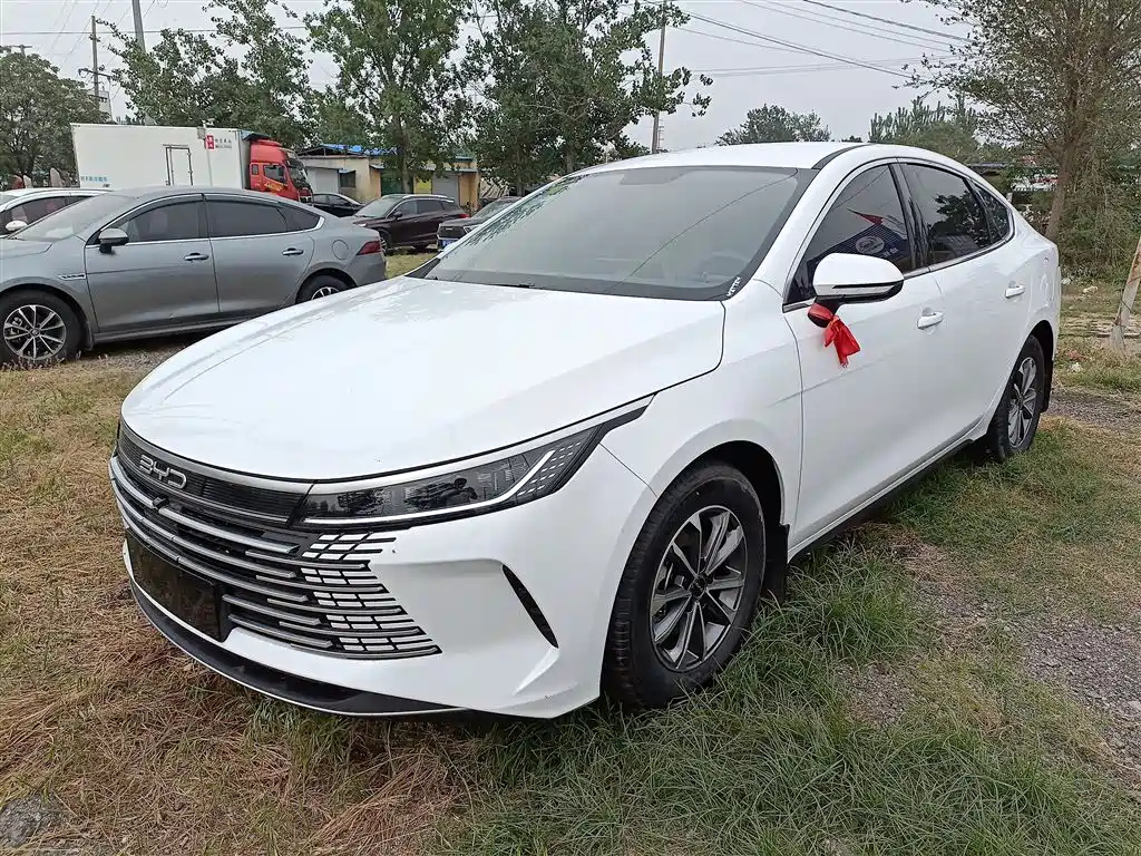 BYD DESTROYER 05 2024