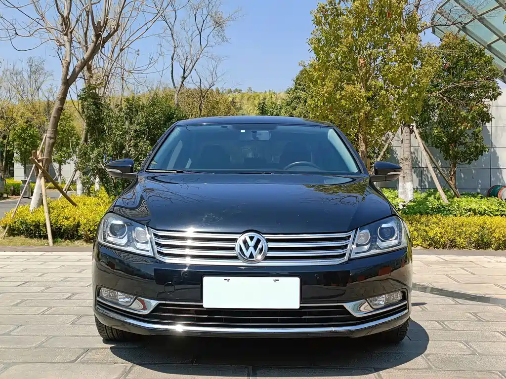 VOLKSWAGEN MAGOTAN 2014