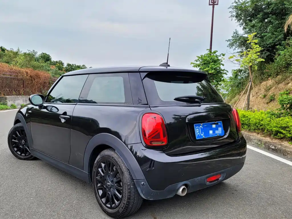 MINI OTHER 2021