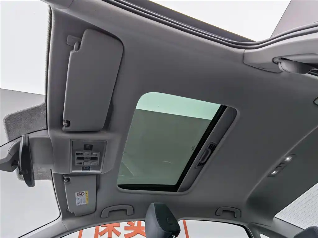 VOLKSWAGEN LAVIDA 2024