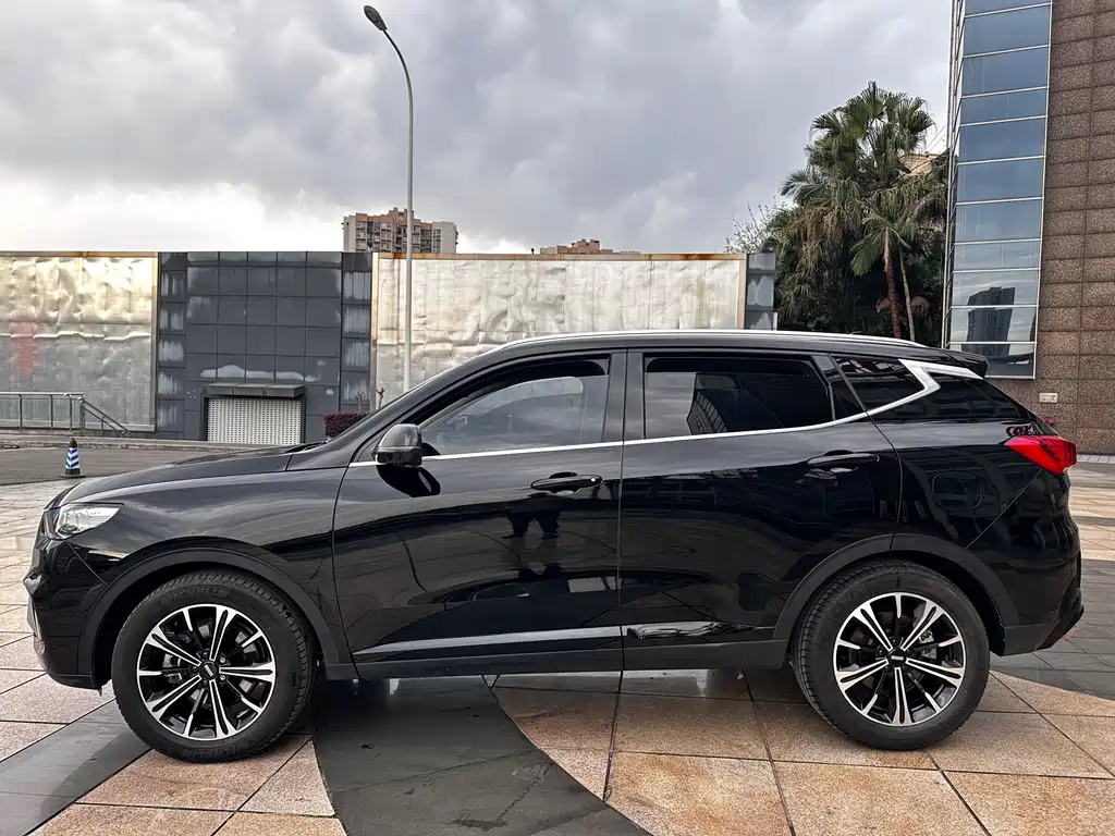 WEY VV6 2020