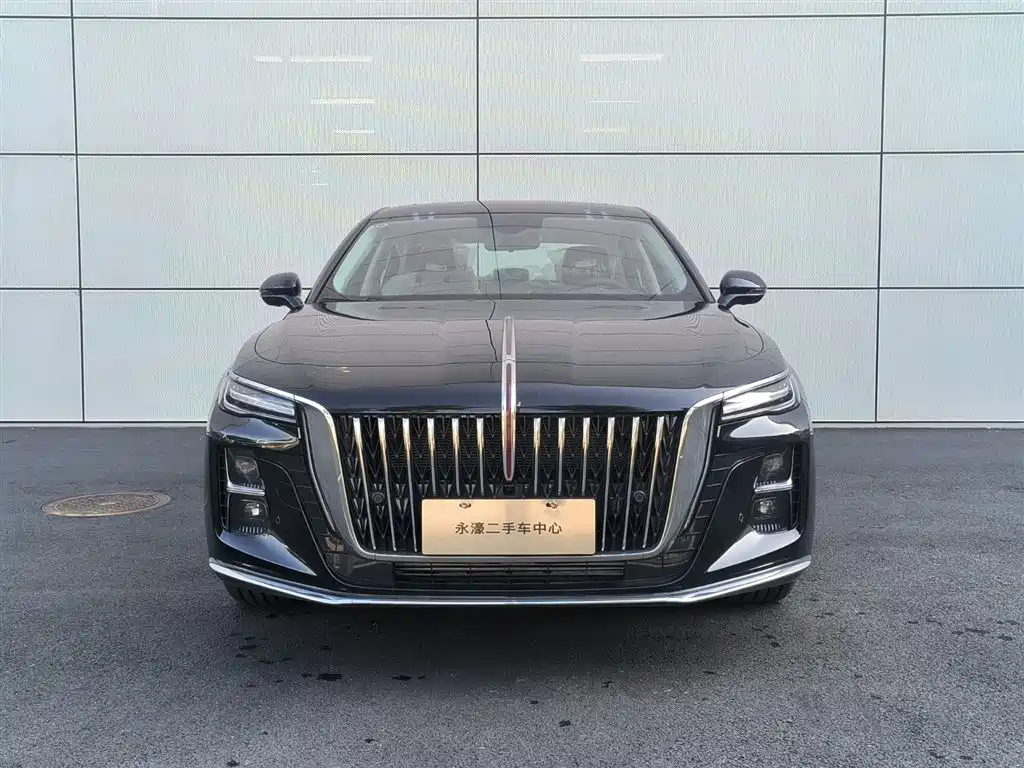 HONGQI H5 2024