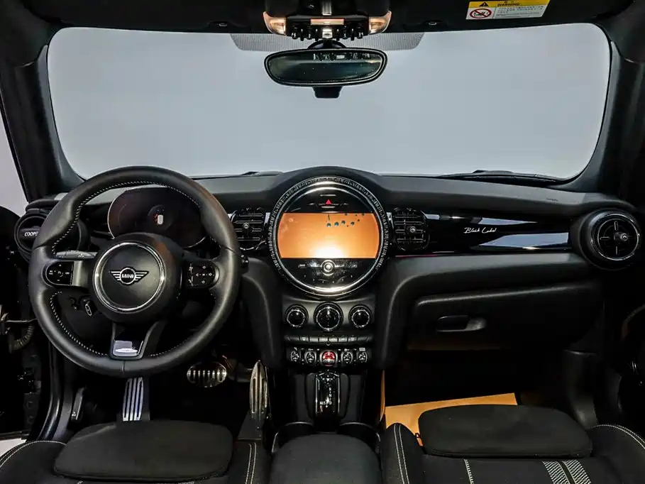 MINI OTHER 2022