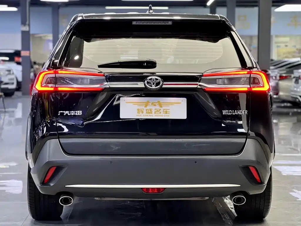 TOYOTA WILDLANDER 2021