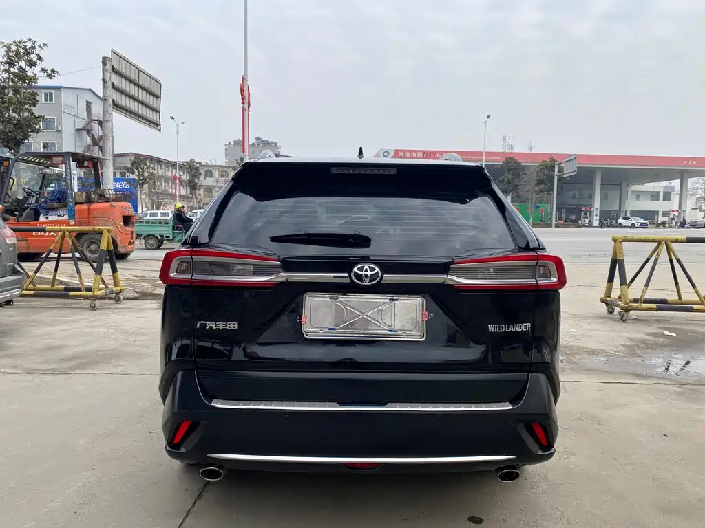 TOYOTA WILDLANDER 2020
