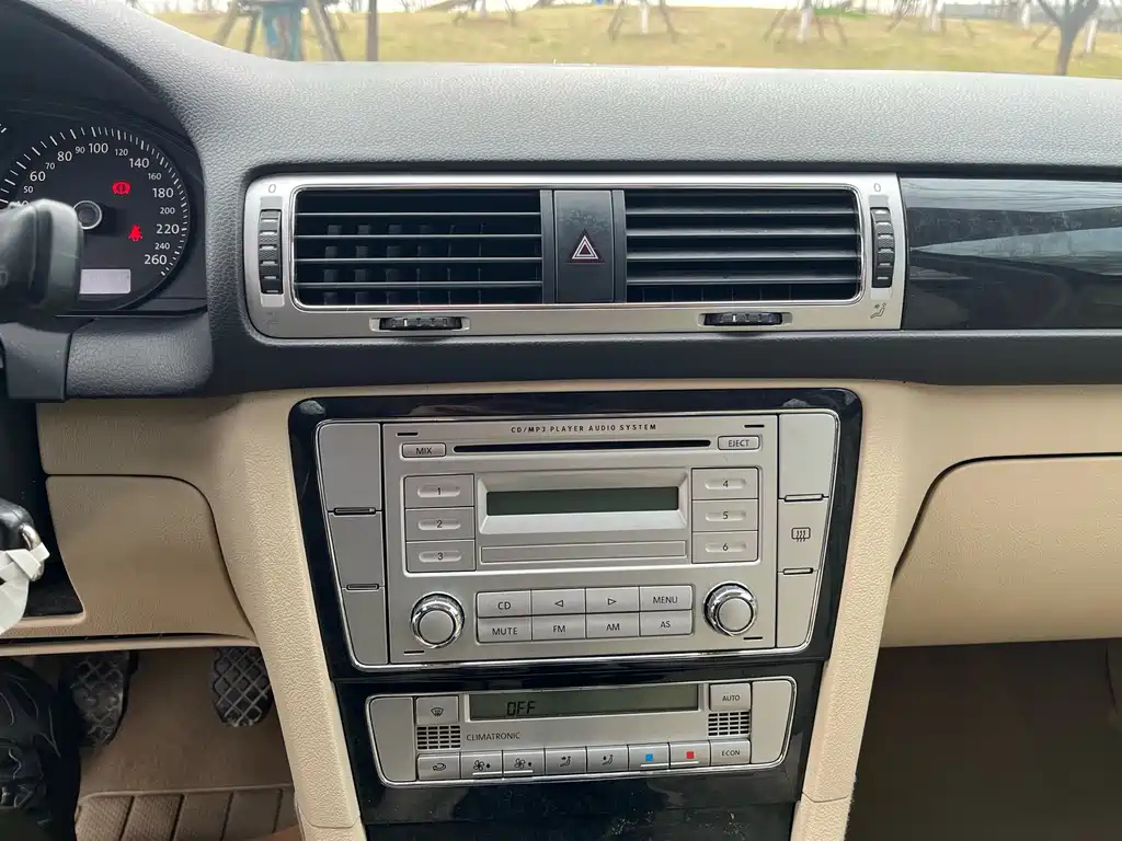 VOLKSWAGEN OTHER 2010