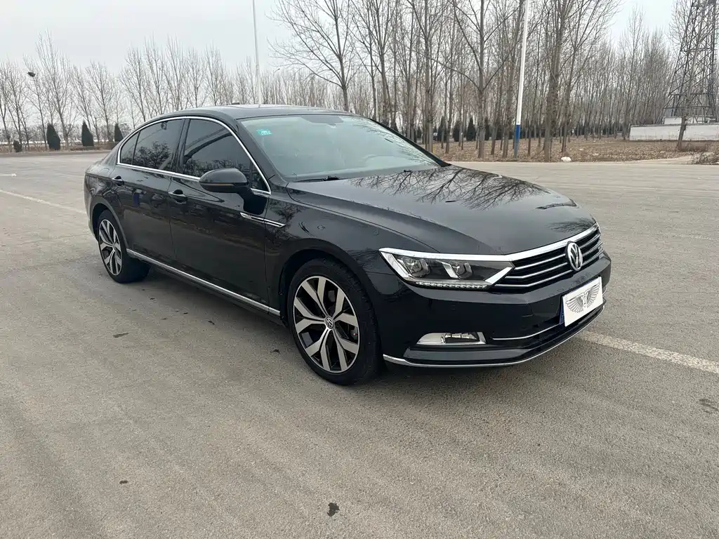 VOLKSWAGEN MAGOTAN 2020