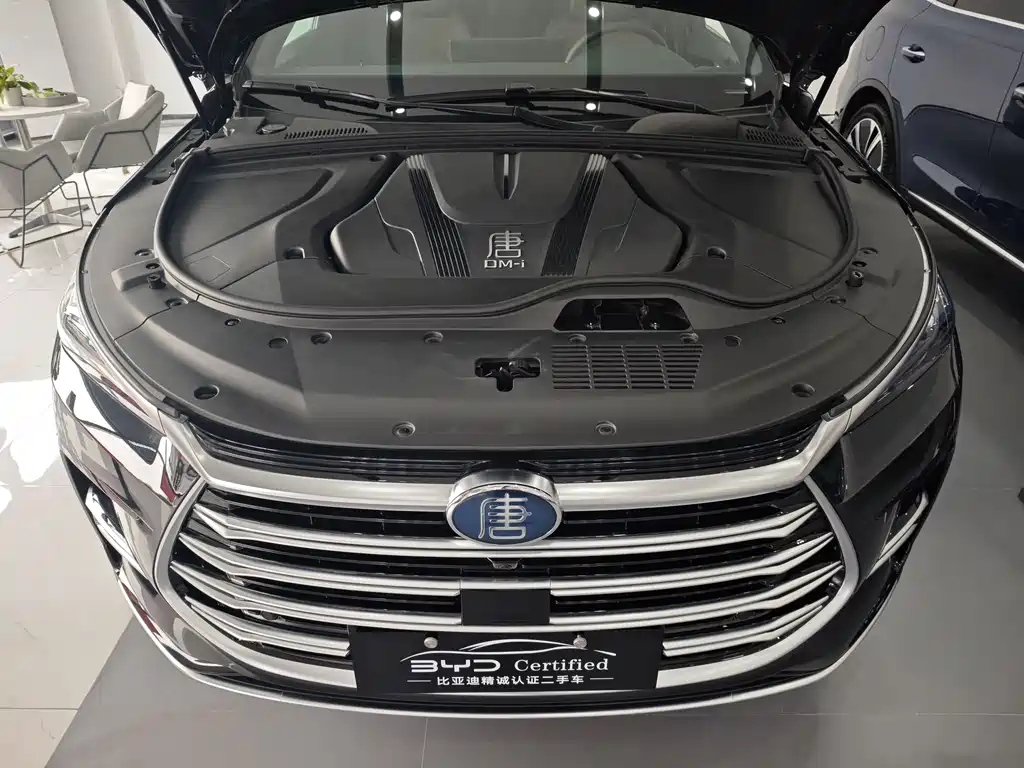 BYD TANG NEW ENERGY 2024