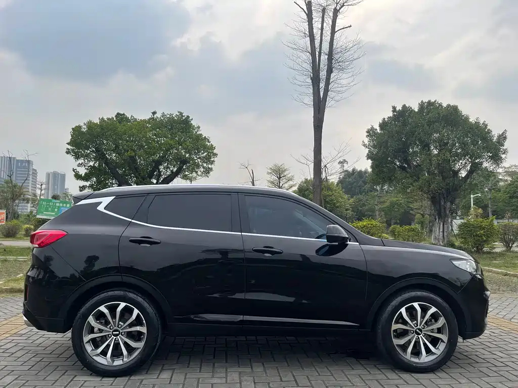WEY VV6 2019