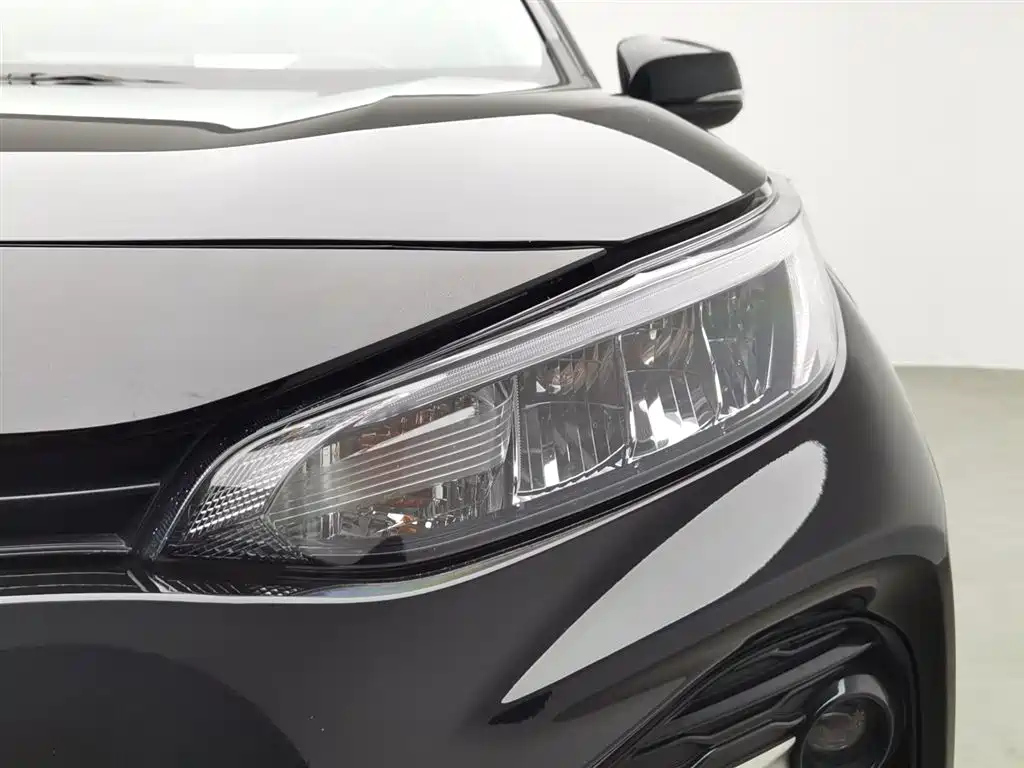 TOYOTA WILDLANDER 2021