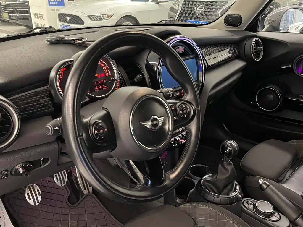 MINI OTHER 2015
