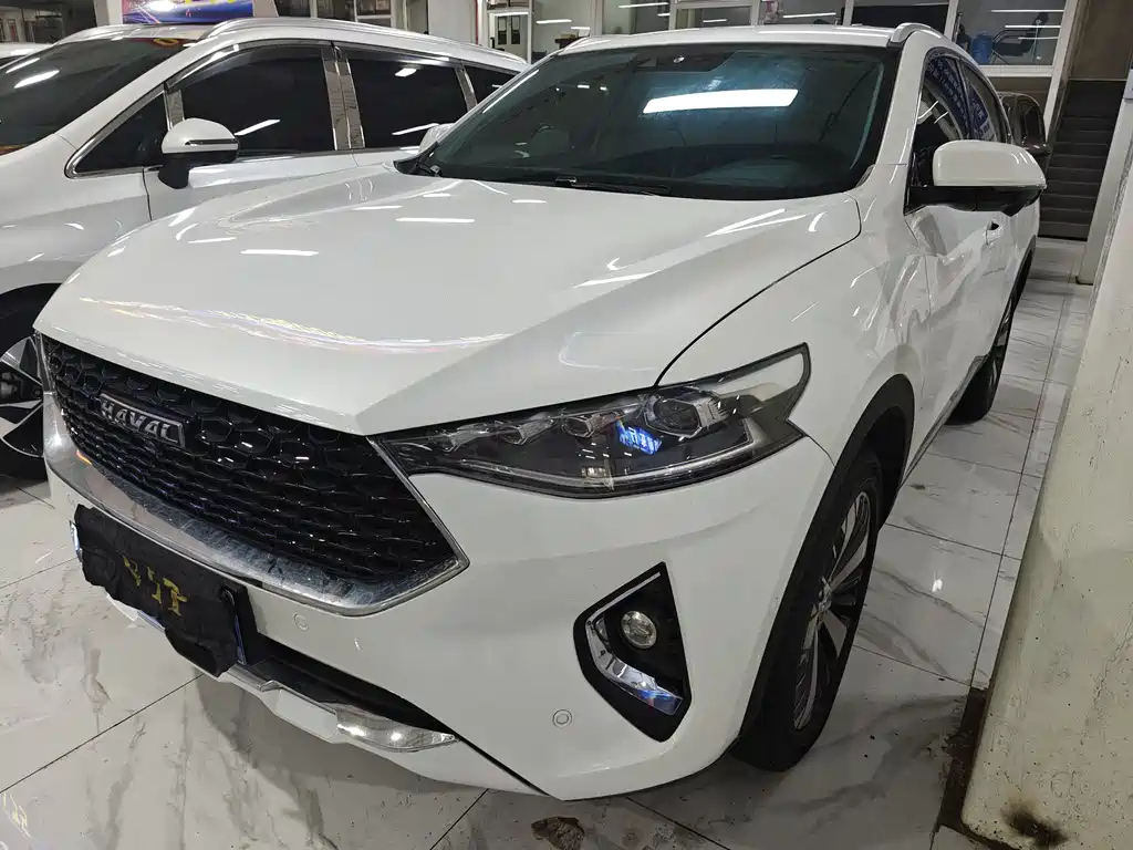 HAVAL F7X 2019