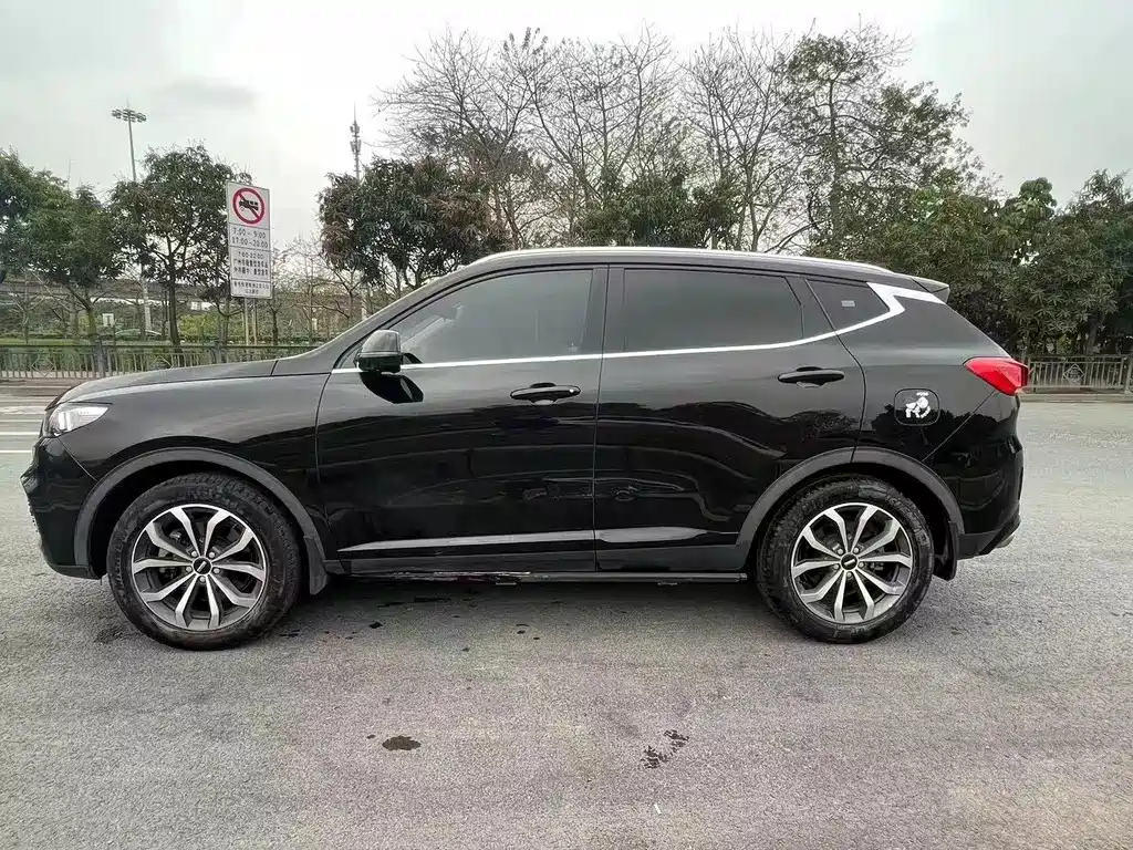 WEY VV6 2020