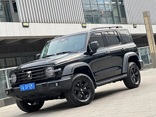 tank 300