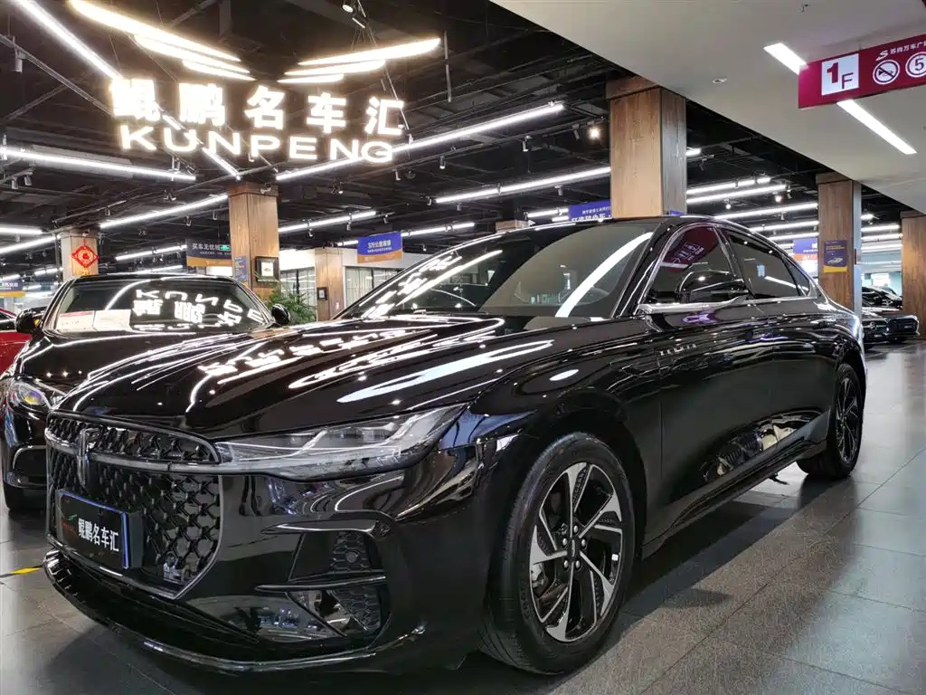 Аукционный лист LINCOLN Z 2023