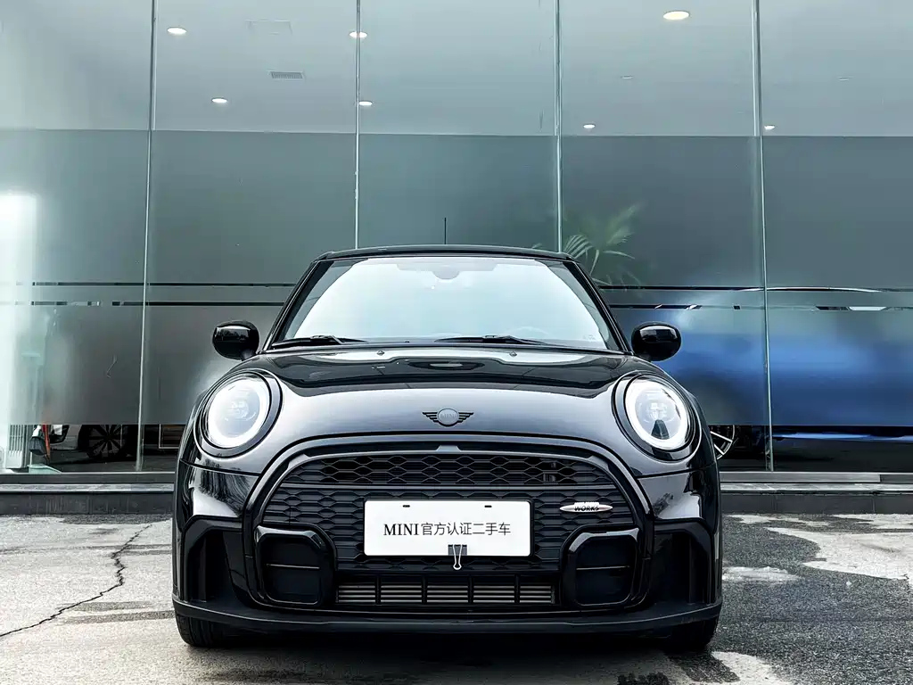 MINI OTHER 2023