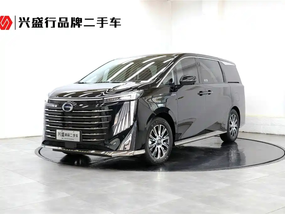 Аукционный лист TRUMPCHI E9 2024