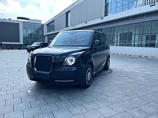 Заказать LEVC TX