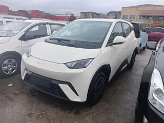 Заказать BYD SEAGULL