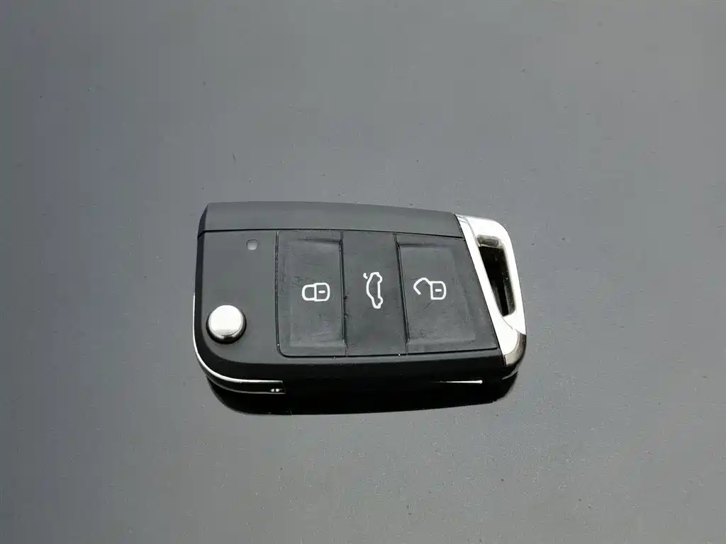 VOLKSWAGEN LAVIDA 2023