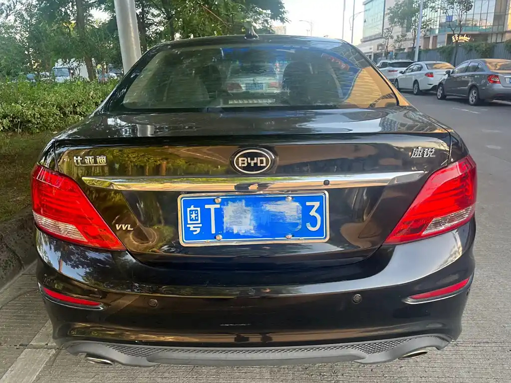BYD OTHER 2016