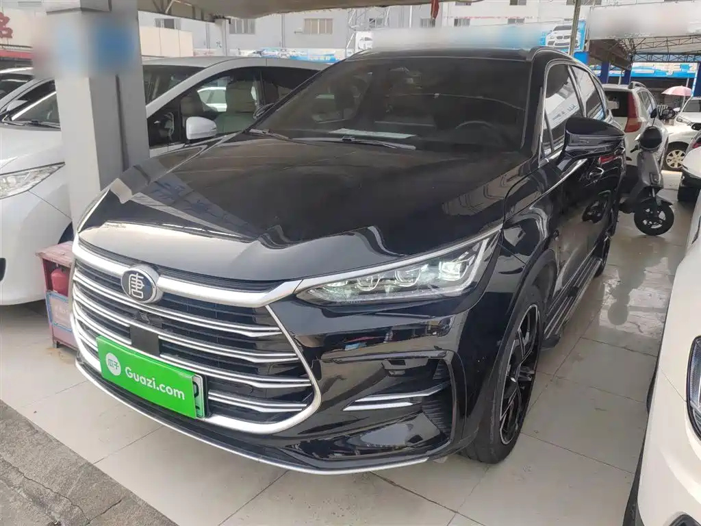 BYD TANG NEW ENERGY 2021
