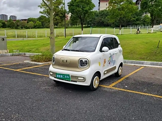 Заказать BESTURN PONY
