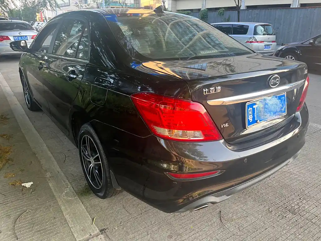 BYD OTHER 2016